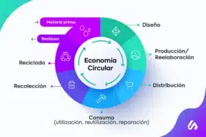 como-las-empresas-se-adaptan-a-la-economia-circular