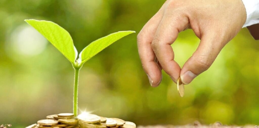 inversion-de-impacto-ganar-dinero-mientras-ayudas-al-planeta-guia-completa