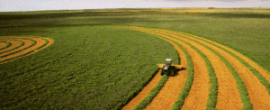 por-que-los-inversores-institucionales-estan-comprando-tierras-agricolas-claves-y-tendencias