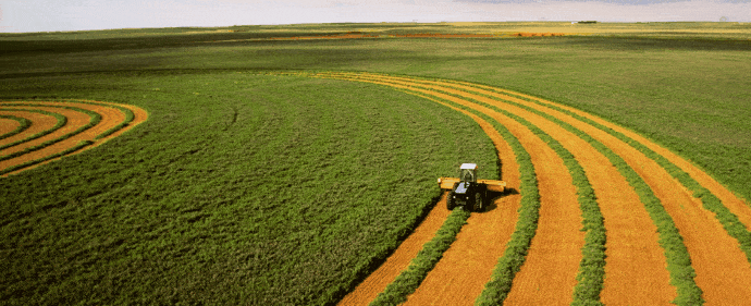 por-que-los-inversores-institucionales-estan-comprando-tierras-agricolas-claves-y-tendencias